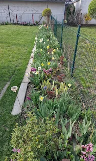 Cvjetni vrt uz apartmane